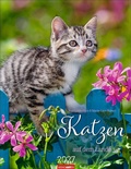 Cover: Katzen auf dem Lande Kalender 2027 - Weingarten