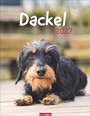 Cover: Dackel Kalender 2027 - Weingarten