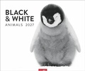 Cover: Black & White Animals 2027 - Weingarten