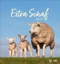 Cover: Extra Schaf Postkartenkalender 2027 - Eiland