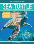 Cover: Sea Turtle - This Incredible Planet