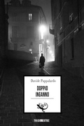 Cover: Doppio inganno - Todaro Editore