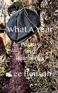 Enlarge image Cover: What A Year - lee benson