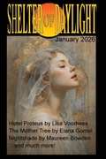 Cover: Shelter of Daylight January 2026 - hiraethsff