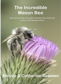 Enlarge image Cover: The Incredible Mason Bee - Steven Scanlan