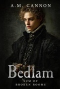 Cover: Sum of Broken Rooms - Belgian Rabbit Publishing
