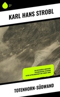 Cover: Totenhorn-S&uuml;dwand - Copycat