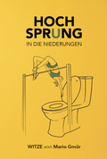 Cover: Hochsprung in die Niederungen - Verlagshaus Schlosser
