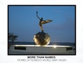 Cover: More Than Names - BDI Publishers