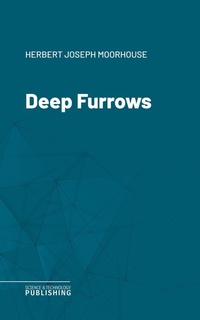 Enlarge image Cover: Deep Furrows - Science & Technology Publishing