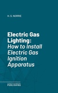 Cover: Electric Gas Lighting - Science & Technology Publishing