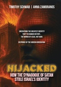 Cover: Hijacked - God Culture