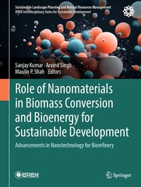 Enlarge image Cover: Role of Nanomaterials in Biomass Conversion and Bioenergy for Sustainable Development - Springer