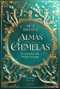 Cover: Almas Gemelas - Parkum