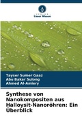 Cover: Synthese von Nanokompositen aus Halloysit-Nanoroehren - Verlag Unser Wissen