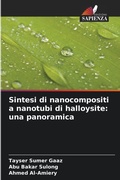 Cover: Sintesi di nanocompositi a nanotubi di halloysite - Edizioni Sapienza