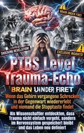 Cover: PTBS Level Trauma-Echo: Wenn das Gehirn vergangene Schrecken in der Gegenwart wiedererlebt und niemand die Stopptaste findet - epubli
