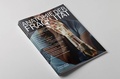 Cover: Anatomie der Fragilit&auml;t - Frankfurter Kunstverein