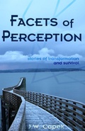 Cover: Facets of Perception - Blue Forge Press