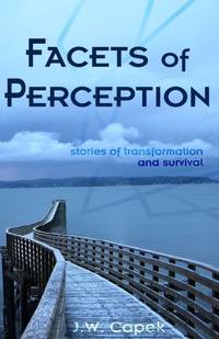 Enlarge image Cover: Facets of Perception - Blue Forge Press
