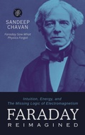 Cover: Faraday Reimagined - Gyrus Vision