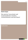 Cover: Was sind die Unterschiede und Gemeinsamkeiten zwischen Gebrauchsmuster und dem Patent? - GRIN Verlag