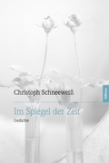Cover: Im Spiegel der Zeit - Allitera