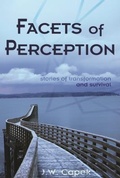 Cover: Facets of Perception - Blue Forge Press