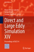 Cover: Direct and Large Eddy Simulation XIV - Springer