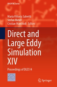 Enlarge image Cover: Direct and Large Eddy Simulation XIV - Springer