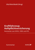 Cover: Kraftfahrzeug-Haftpflichtversicherung - Manz