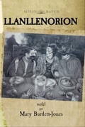 Cover: Llanllenorion (eLyfr) - Melin Bapur