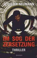 Cover: Im Sog der Zersetzung - Engelsdorfer Verlag