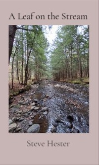 Enlarge image Cover: A Leaf on the Stream - Blockhead Publishing