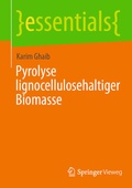 Bild: Pyrolyse lignocellulosehaltiger Biomasse - Springer Vieweg