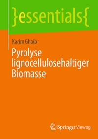 Bild vergrößern Bild: Pyrolyse lignocellulosehaltiger Biomasse - Springer Vieweg