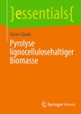 Bild: Pyrolyse lignocellulosehaltiger Biomasse - Springer Vieweg