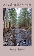 Cover: A Leaf on the Stream - Blockhead Publishing