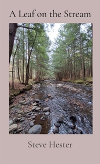 Enlarge image Cover: A Leaf on the Stream - Blockhead Publishing