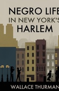 Cover: Negro life in New York's Harlem A lively picture of a popular and interesting section - Black Legacy Press