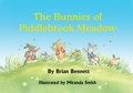 Cover: The Bunnies of Piddlebrook Meadow - Brian Bennett Books
