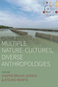 Cover: Multiple Nature-Cultures, Diverse Anthropologies - Berghahn Books