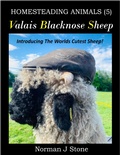 Cover: Valais Blacknose Sheep: An Introduction To The Worlds Cutest Sheep (Homesteading Animals, #5) - Norman J Stone