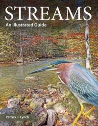 Enlarge image Cover: Streams - Yale University Press