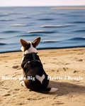 Cover: Bootsy Finds Her Forever Home (Bootsy the Big-Hearted Beagle Series, #1) - My Fav'ry Girl Publishing