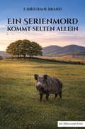 Cover: Ein Serienmord kommt selten allein - Rediroma-Verlag