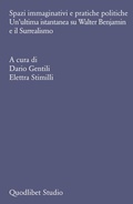 Cover: Spazi immaginativi e pratiche politiche - Quodlibet