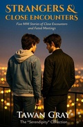 Cover: Strangers & Chance Encounters - Five MM Stories of Chance Encounters and Fated Meetings (The Tawan Gray Anthology Series, #4) - WMC Publishing