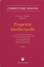 Cover: Propriété intellectuelle (PI) - Helbing & Lichtenhahn