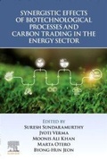 Cover: Synergistic Effects of Biotechnological Processes and Carbon Trading in the Energy Sector - Elsevier